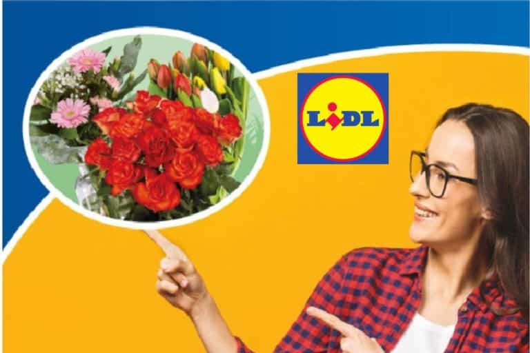 lidl piante festa della mamma.jpg