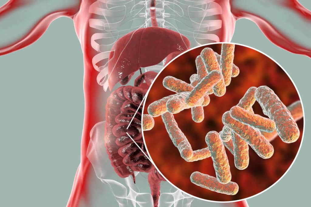 microbioma.jpg