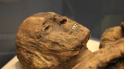mummie 500x281.jpeg
