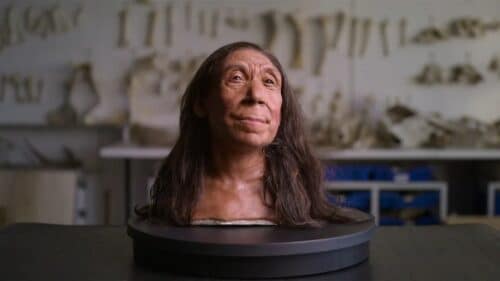 neanderthal 500x281.jpeg