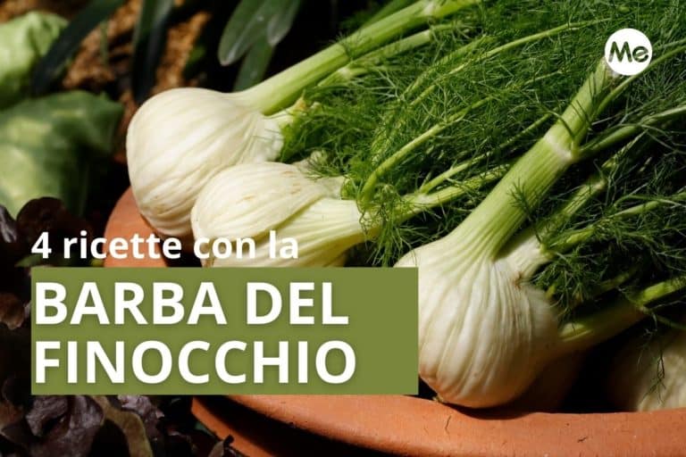 ricette con la barba del finocchio.jpg