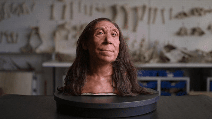 shanidar neanderthal woman face m.png
