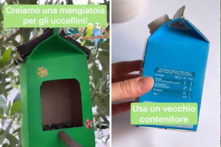 tutorial mangiatoia .jpg