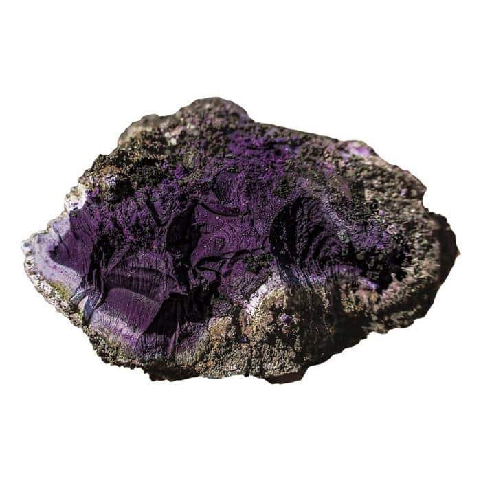 tyrian purple m.jpg