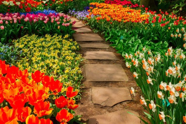 vialetto giardino.jpg