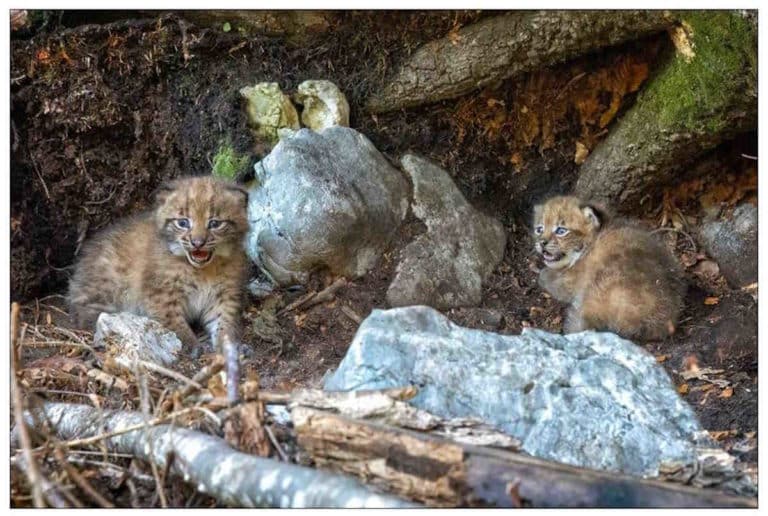 449057256 1064004848530579 5803254300103579677 n.jpg