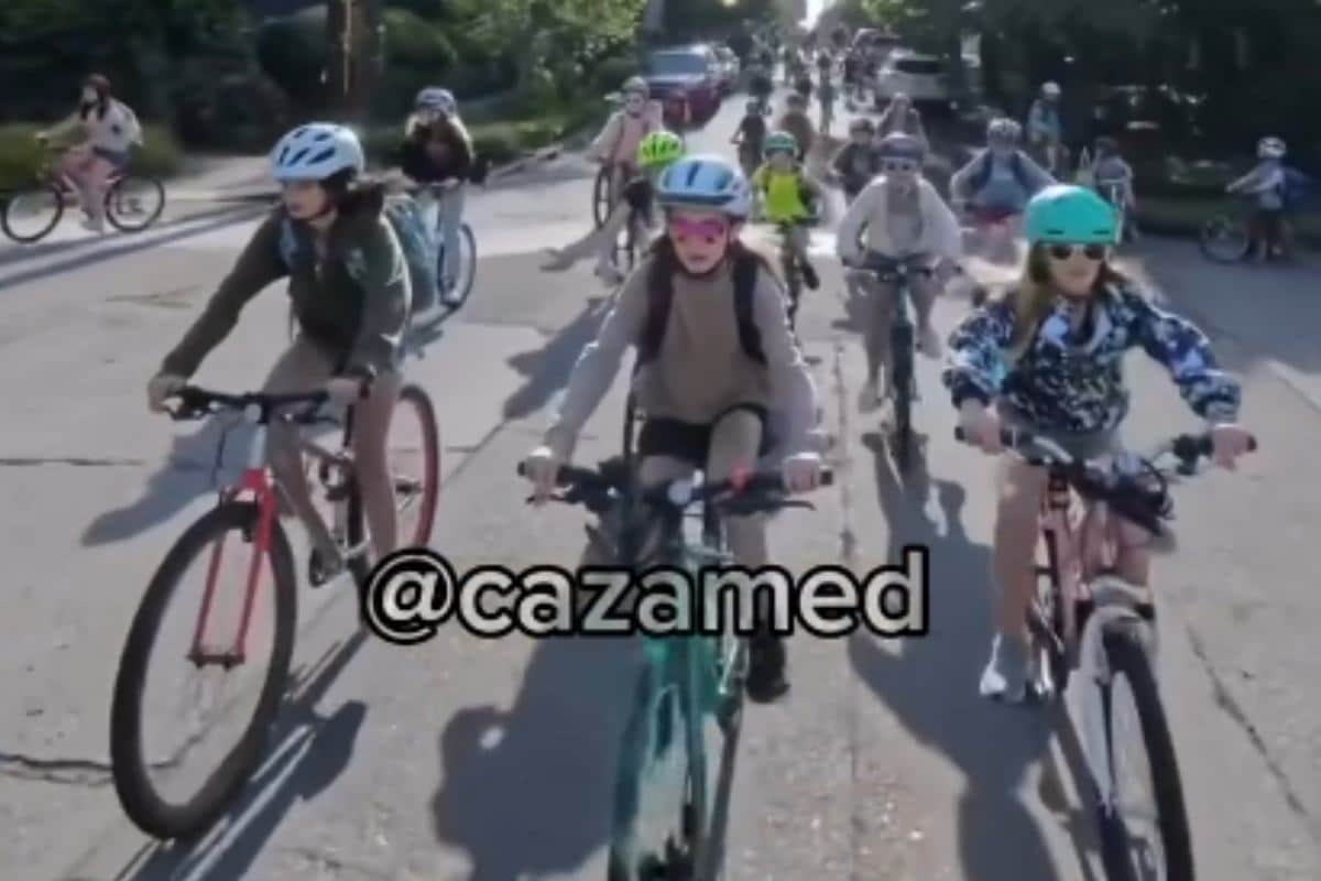 Bus bici.jpg