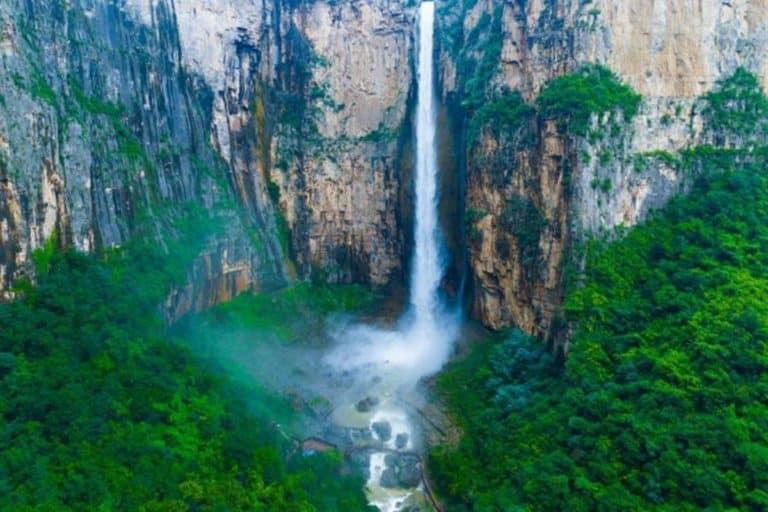 Cascata cinese truffa.jpg