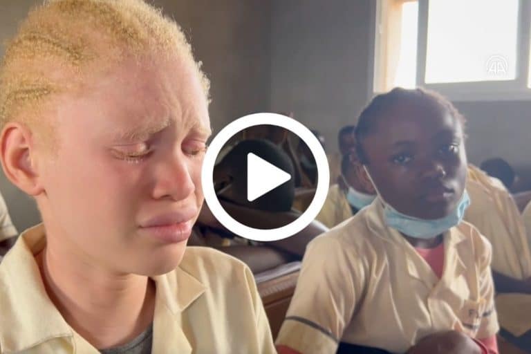 Copia di Copia di Cover Video Web 6.jpg