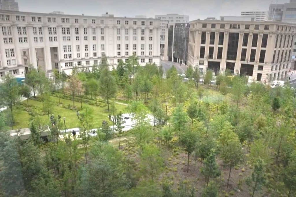 Foresta piazza Parigi.jpg