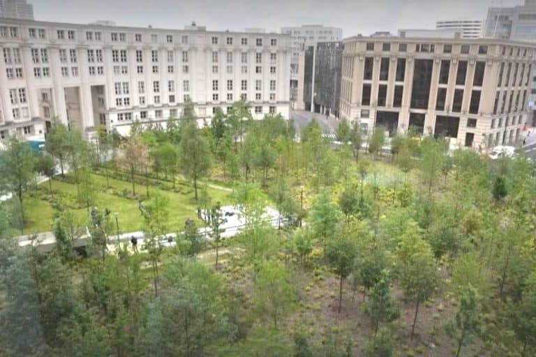 Foresta piazza Parigi.jpg