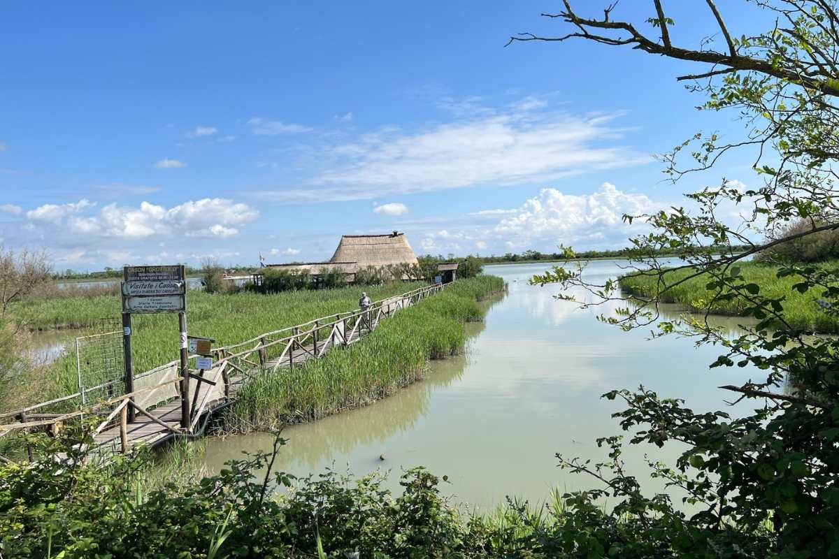 Ti porto alla scoperta della laguna di Caorle in bicicletta (e presto un itinerario fino alla Slovenia) 1 Giralemene 2.jpg