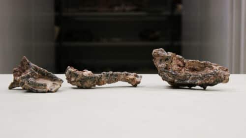 HBH2XAXOLBLMPLB2GTA4L6SSRM 500x281.jpg