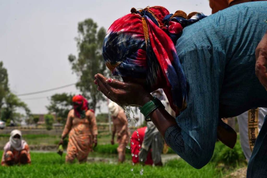 India morti caldo.jpg