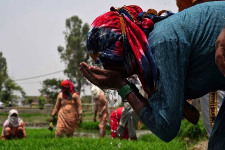 India morti caldo.jpg