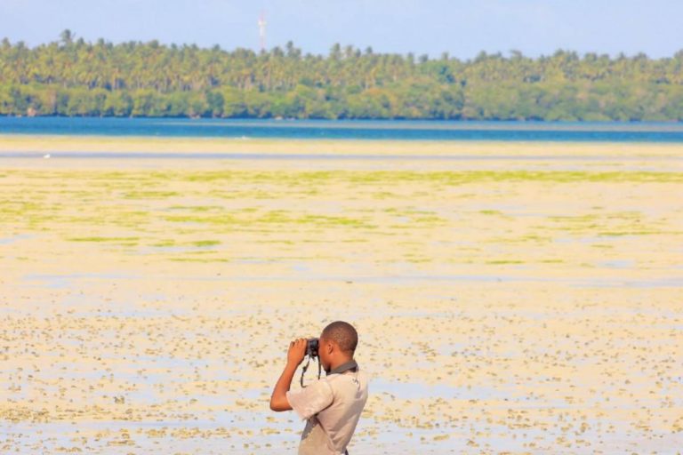 Questo Paese vuole costruire la sua prima centrale nucleare in un luogo paradisiaco (mettendo a rischio la biodiversità e l’ambiente) 1 Kenya nucleare.jpg