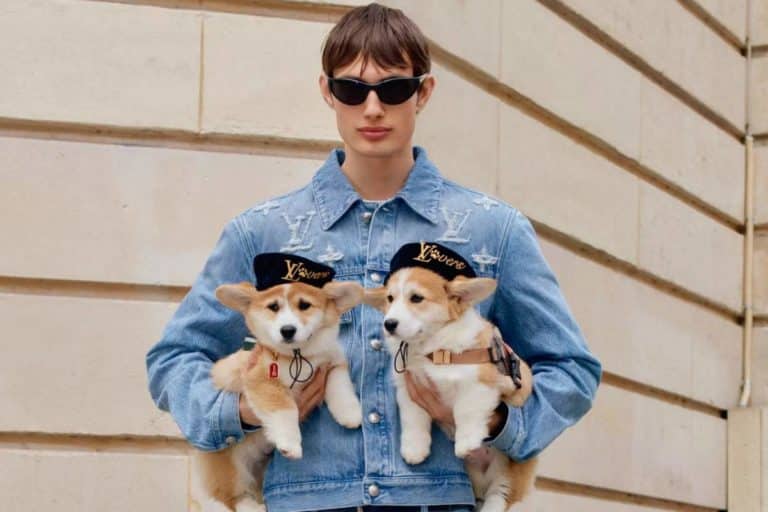 Louis Vuitton.jpg