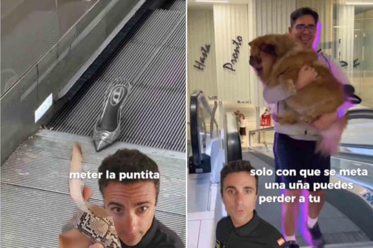 Scale mobili.jpg