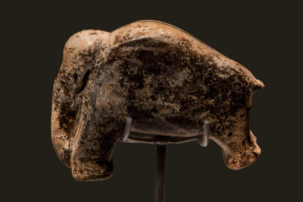 Sculture grotta.jpg