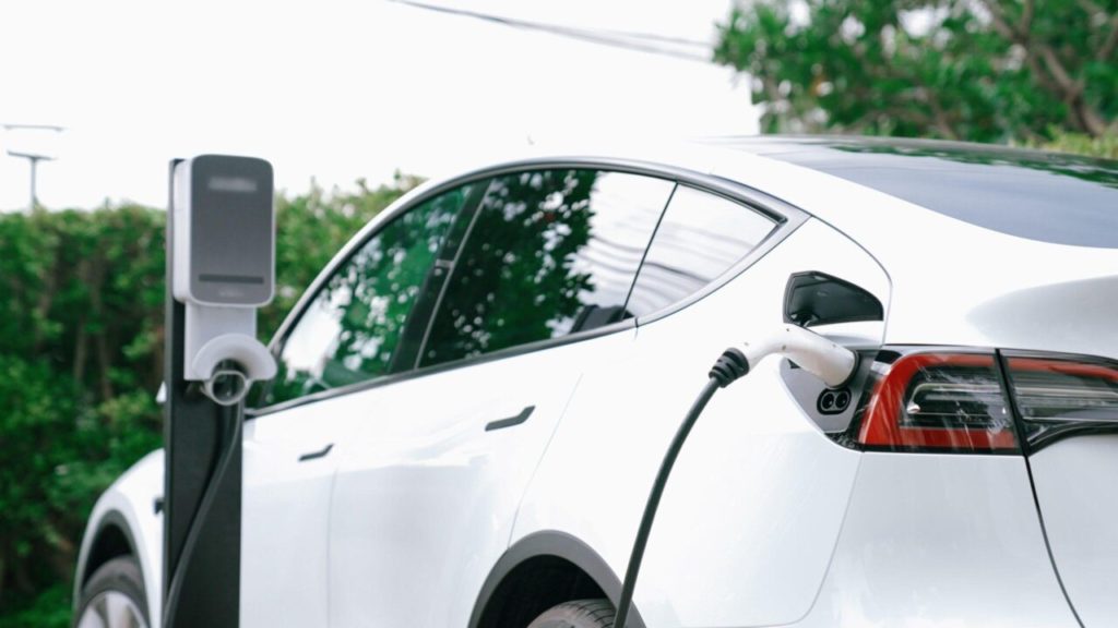 Tesla Model Y scaled e1718017667623.jpg