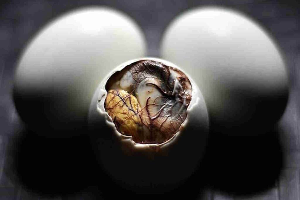 The Balut.jpg