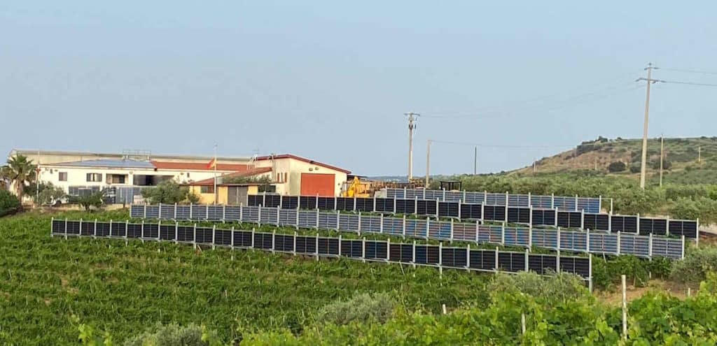 agrivoltaico sicilia.jpg