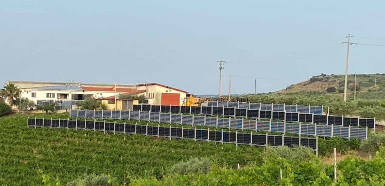 agrivoltaico sicilia.jpg