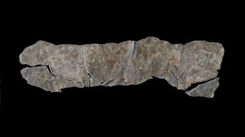 ancient curse tablets min 1 500x281.jpg