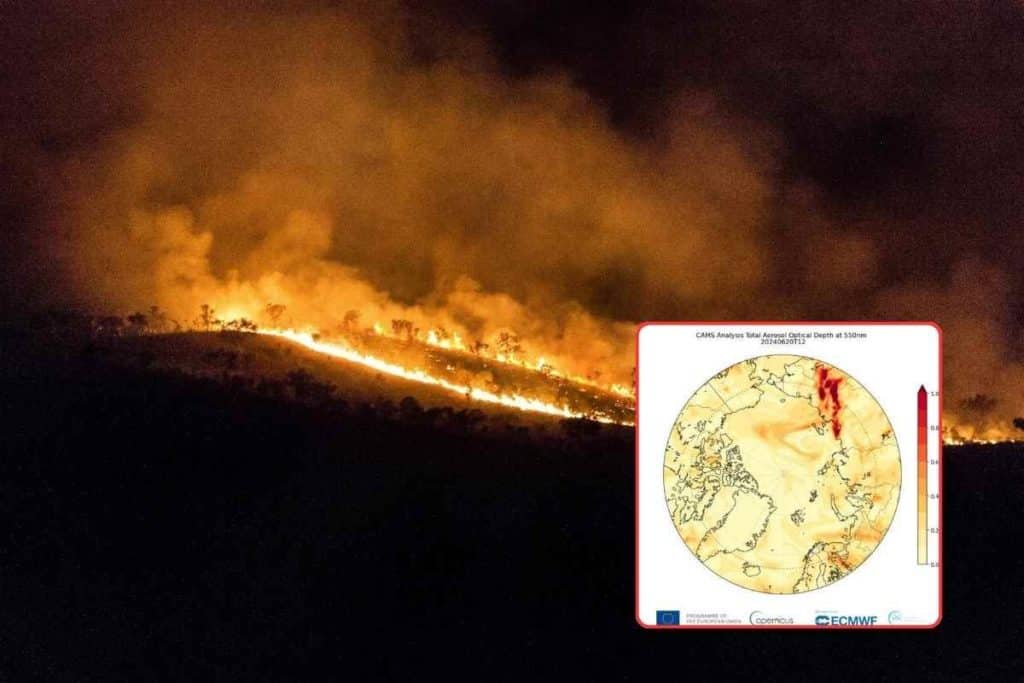 artico brucia.jpg