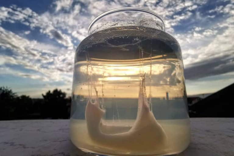 barca san pietro1.jpg