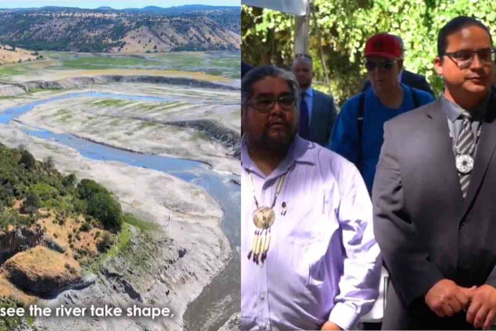 california indigeni.jpg