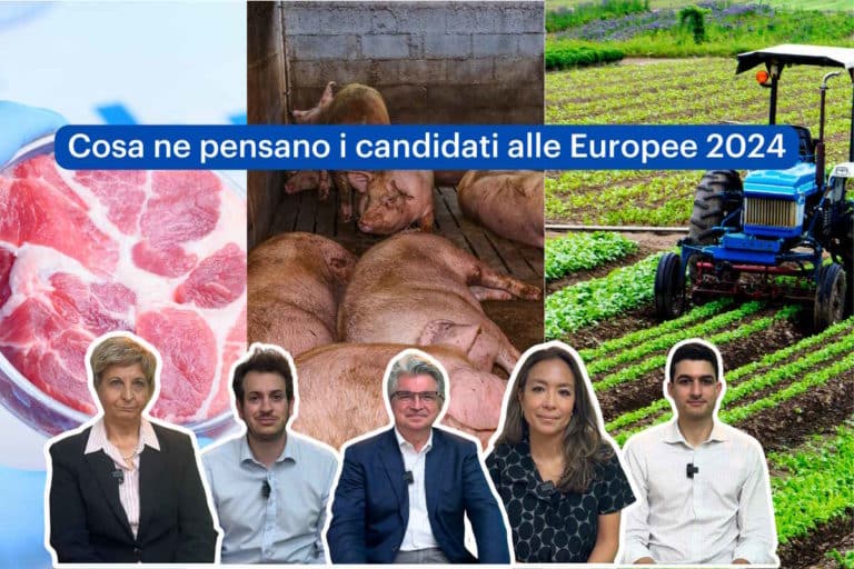 candidati allevamenti.jpg