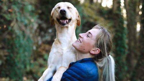 cani cancro 500x282.jpg
