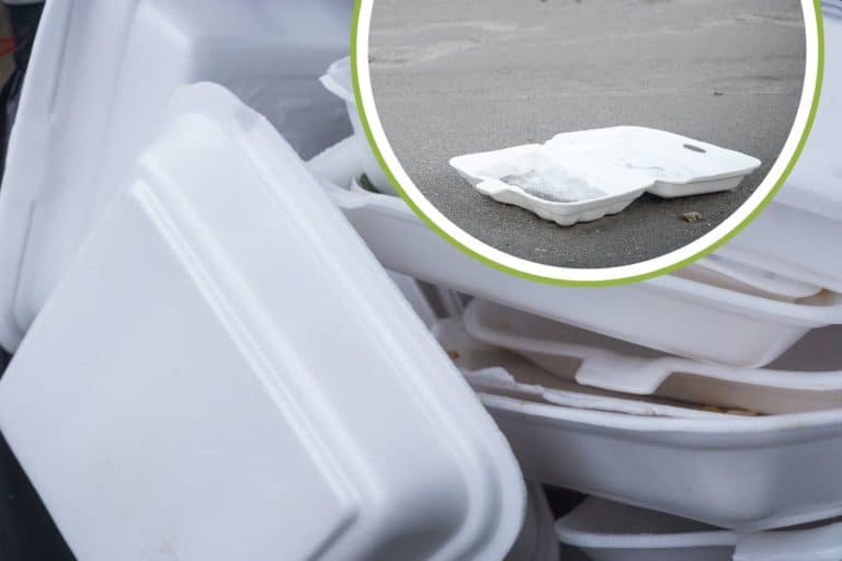 contenitori polistirolo.jpg