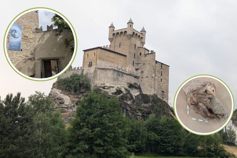 A tu per tu con la mummia più antica d’Italia che è ora possibile ammirare dentro un castello fiabesco (e non è Ötzy) 3 cover marmotta.jpg
