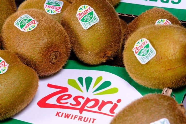 kiwi zespri.jpg