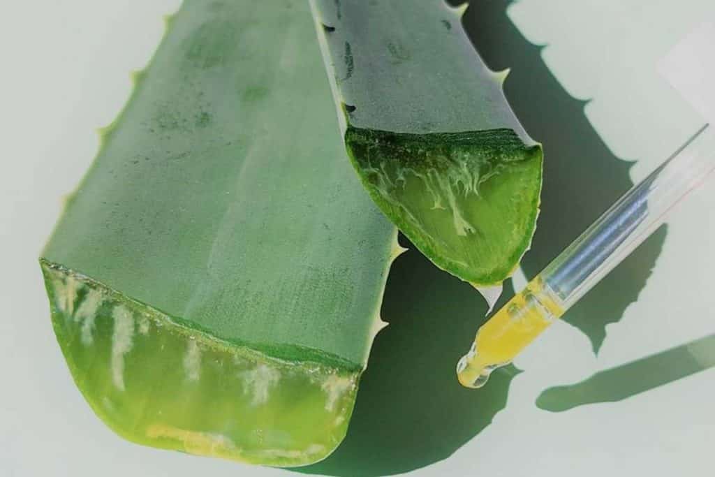 olio aloe vera.jpg