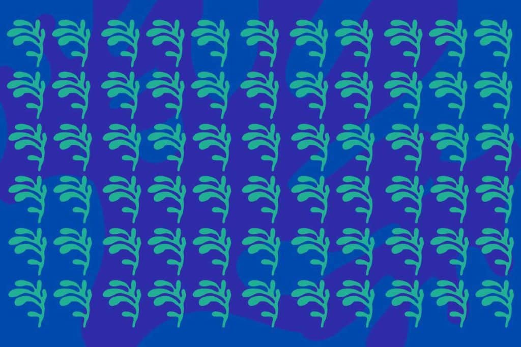 pattern.jpg