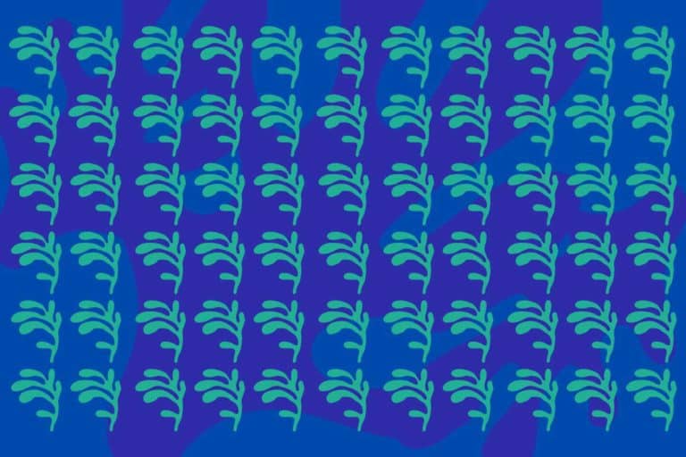 pattern.jpg