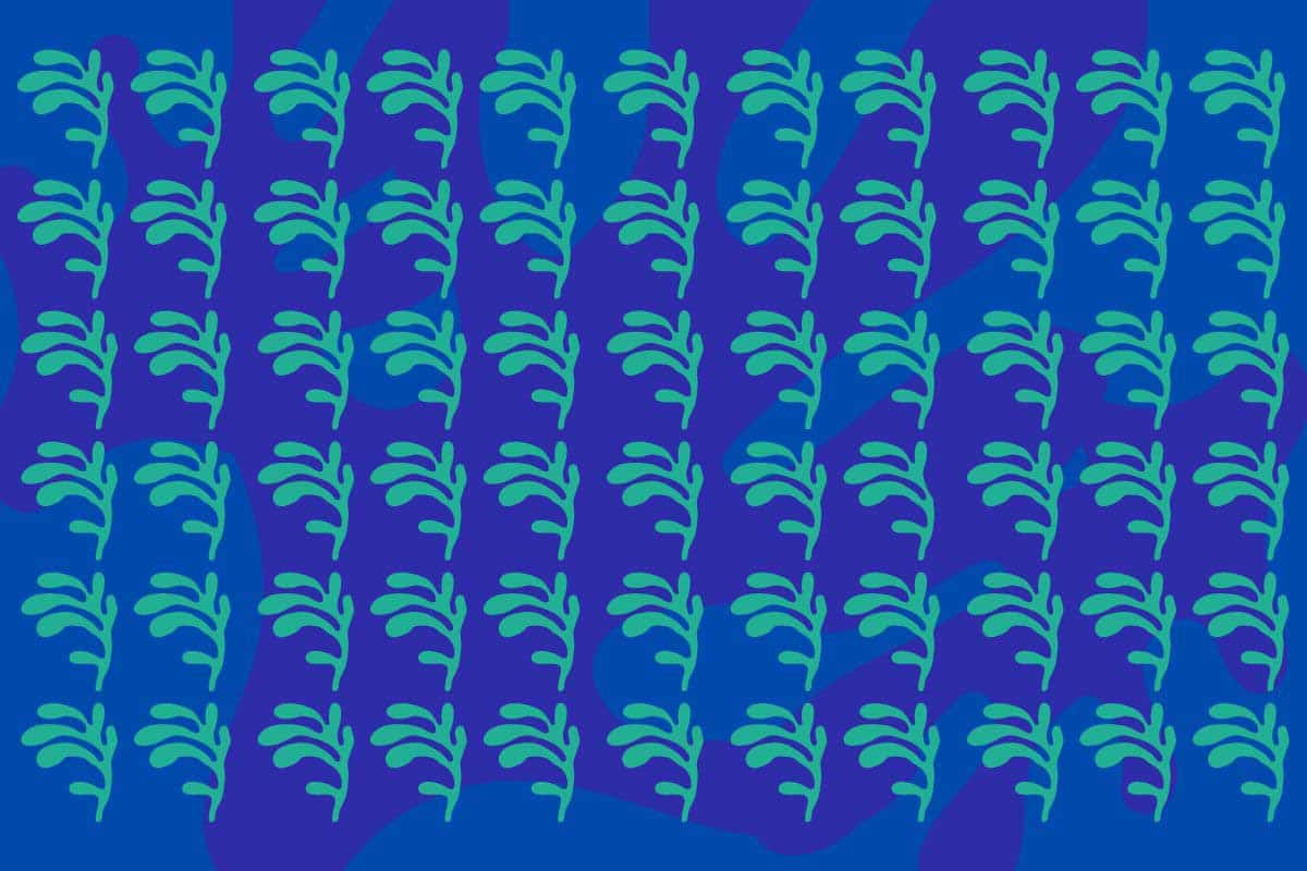 Indovinello visivo: solo l’1% delle persone identifica l’elemento che si differenzia da tutti gli altri. Se ci riesci sei un genio! 1 pattern.jpg