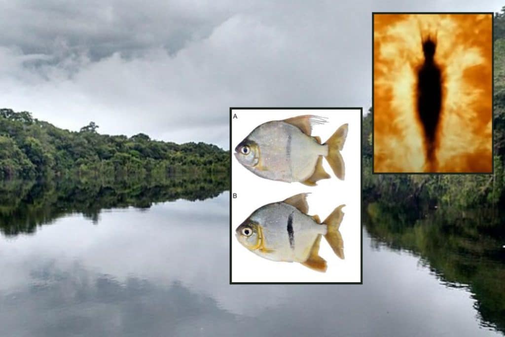 pesce sauron.jpg