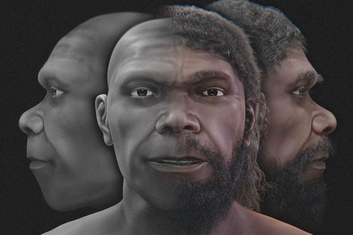 Quest’uomo è Jebel Irhoud, il primo Homo Sapiens finora conosciuto, uno scienziato ne ha ricostruito il volto in 3D 1 primo homo sapiens volto.jpg