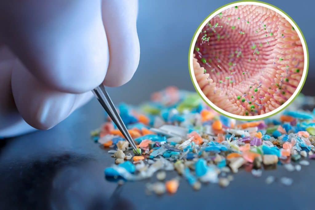 probiotici microplastiche.jpg