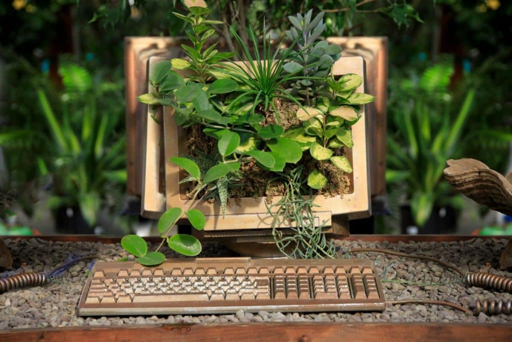 riciclo vecchio computer.jpg