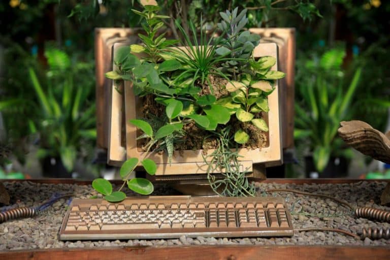 riciclo vecchio computer.jpg