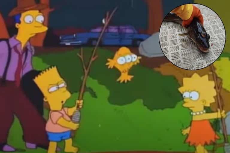 simpson.jpg