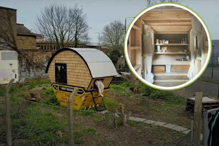 skip house2.jpg