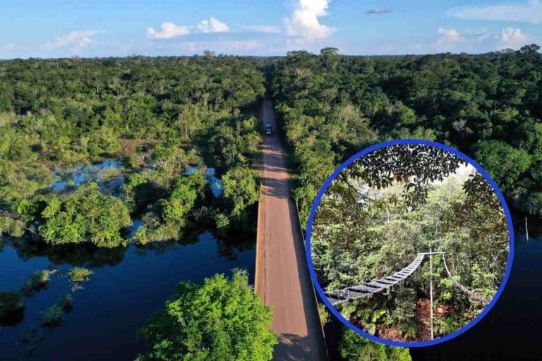 strada amazzonia.jpg