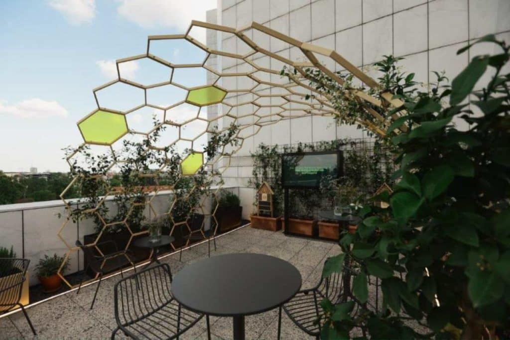 terrazza Bbees .jpg
