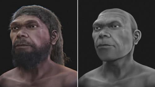 Ecco com’era il volto del “primo essere umano”, vissuto 300.000 anni fa 1 volto 500x282.jpg